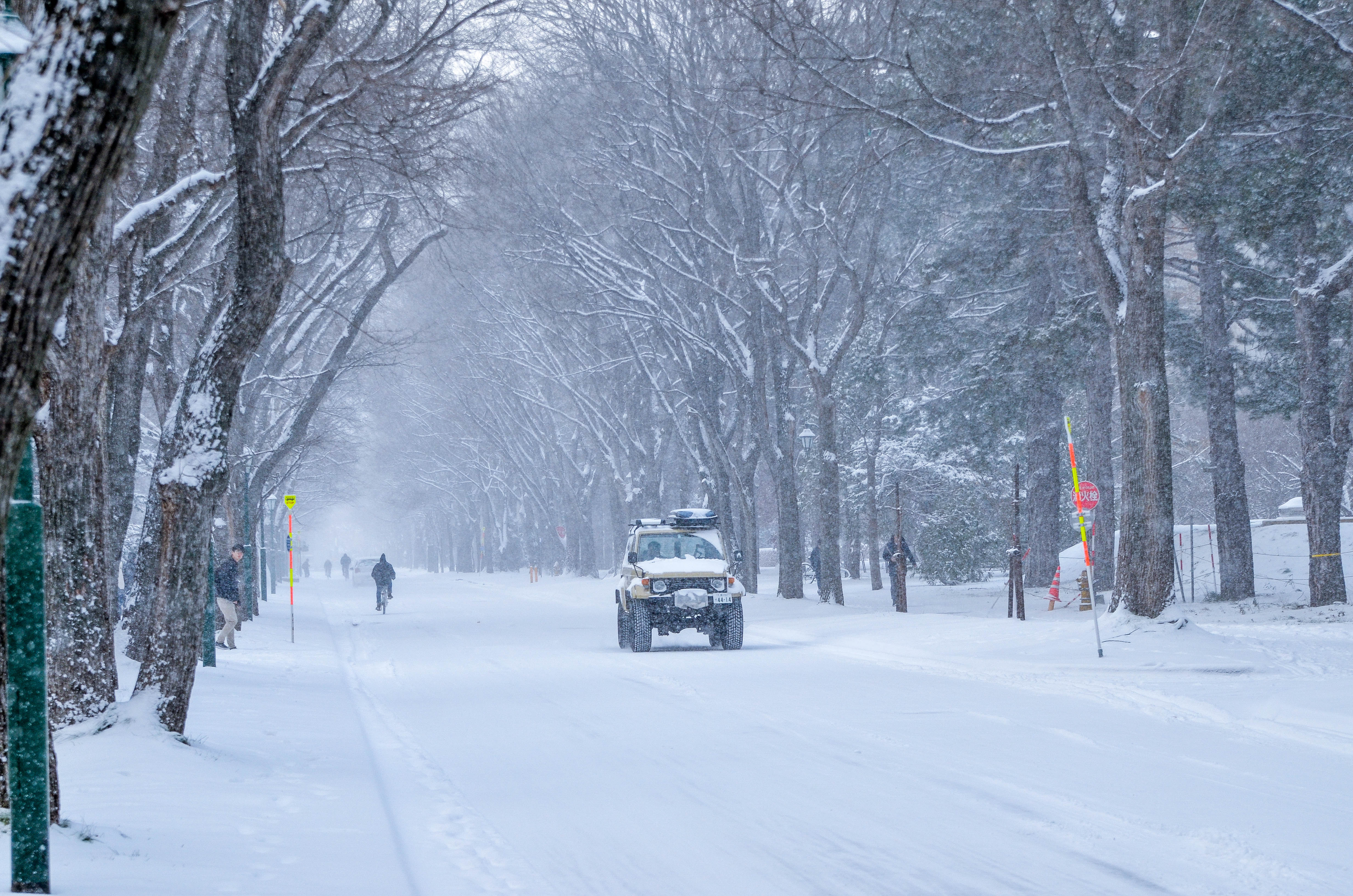北海道大学内雪景